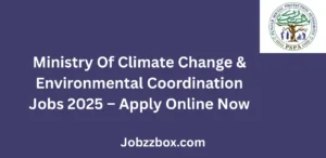 Punjab Social Protection Authority Jobs 2025 Apply Online Now