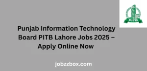 Punjab Information Technology Board PITB Lahore Jobs 2025 – Apply Online Now